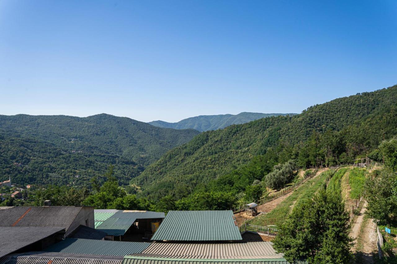 01234 - Agriturismo La Marpea, Esperienza In Mezzo Alla Natura E Al Cibo Tipico Italiano Villa Terisso Екстериор снимка
